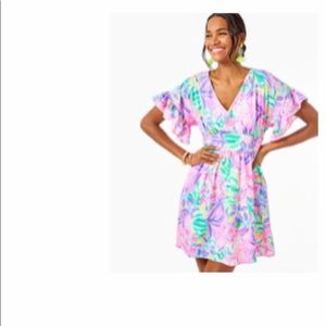 NWT Lilly Pulitzer Blaire Fit Flare Stretch dress